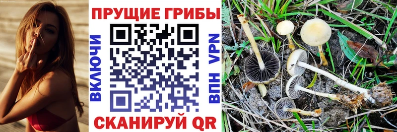 Галлюциногенные грибы MAGIC MUSHROOMS  цена   Красный Сулин 